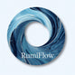 Translation missing: tr.RumiFlow accessibility.home